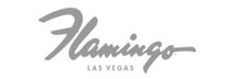 flam logo
